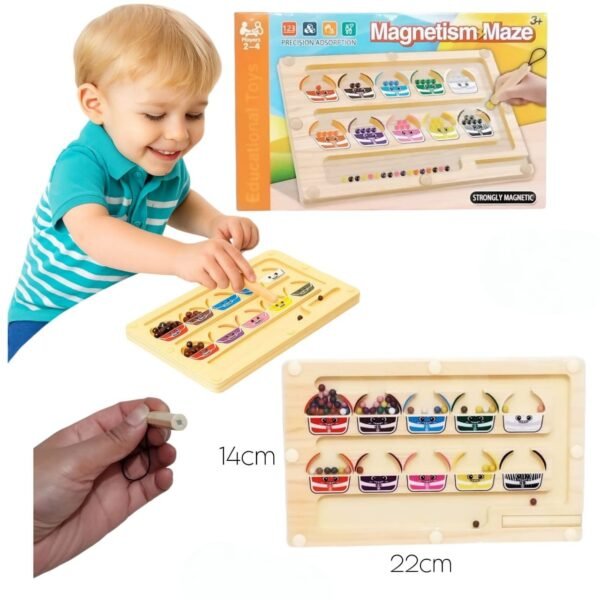 متاهة عد مغناطيسية