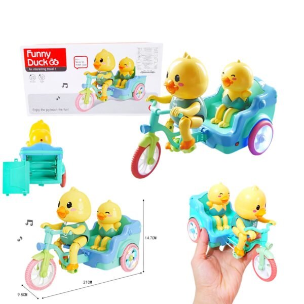 فانوس بطوط عجلة